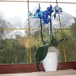 Gosausee Pensionat Gosau