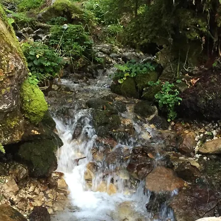 Gosausee Penzion 3*