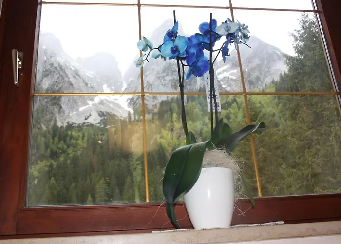 岣梢湖客栈酒店 招待所 格绍